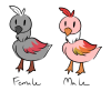 i cant draw birds 2.png