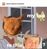 FB_IMG_1543936907149~2.jpg