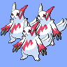 Zangooses