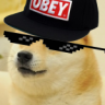MLG Dewritos Bloke